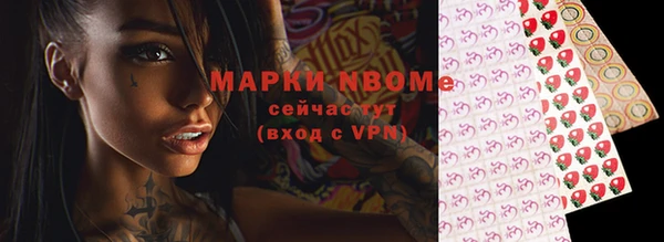 прущие грибы Дмитров