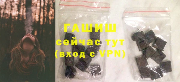 индика Дмитровск