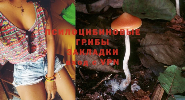 MDMA Premium VHQ Дмитриев