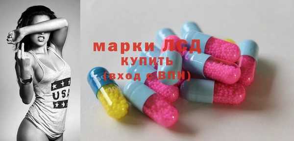 индика Дмитровск