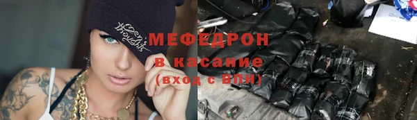 индика Дмитровск