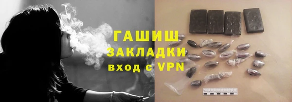 прущие грибы Дмитров