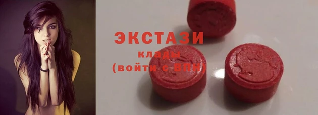 индика Дмитровск