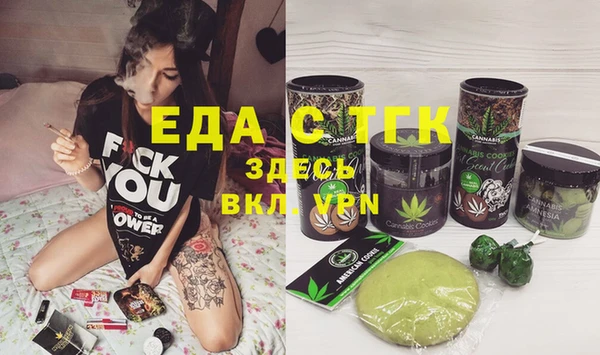 индика Дмитровск