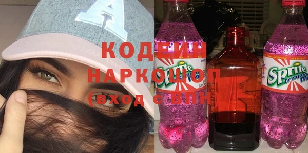 прущие грибы Дмитров