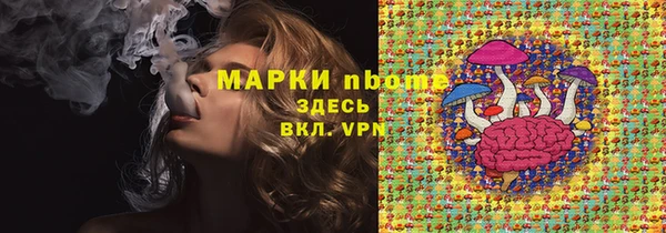 индика Дмитровск