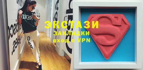 индика Дмитровск