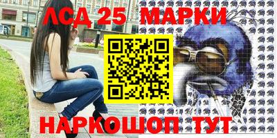 МДПВ Гай