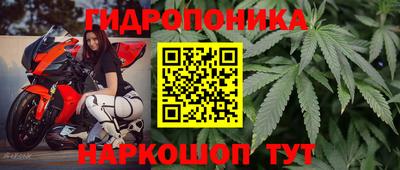 прущие грибы Гагарин