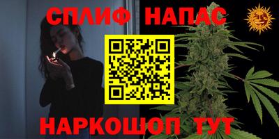 прущие грибы Гагарин