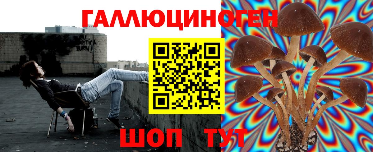 Вязьма  наркотики  Вход с VPN  Галлюциногенные грибы мицелий 